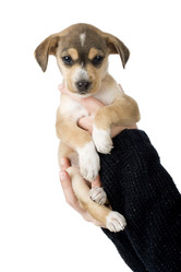 Similar image 19564043