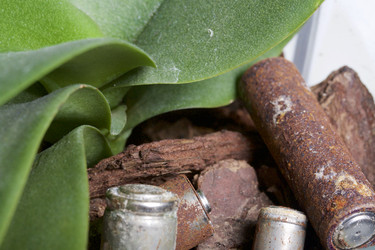 Similar image 19774090