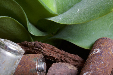 Similar image 19774101