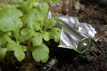 Similar image 19774435