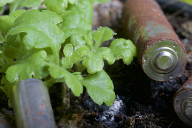 Similar image 19774437