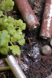 Similar image 19774438