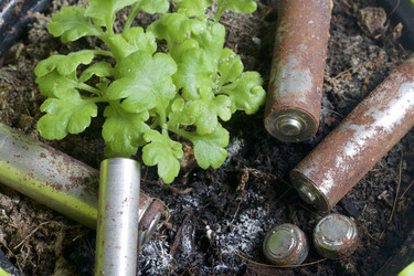 Similar image 19774459