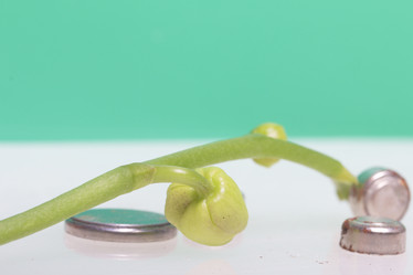 Similar image 19774645