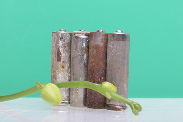 Similar image 19774671