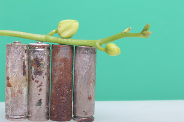 Similar image 19774672