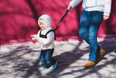 Similar image 19784582