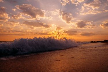 Similar image 19556287