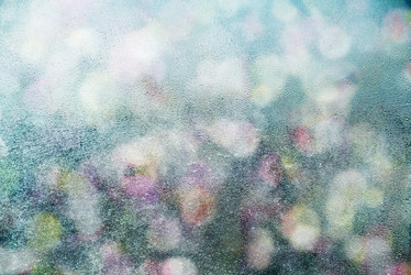 Similar image 19556258