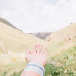 Similar image 19556271