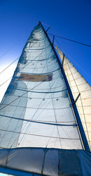 Similar image 19742484