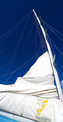 Similar image 19742485