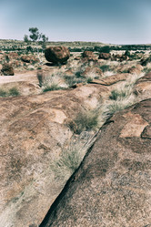 Similar image 19742488