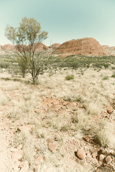 Similar image 19742469