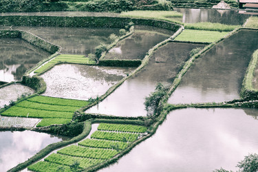 Similar image 19742510