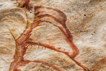 Similar image 19742495