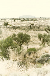 Similar image 19742514