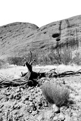 Similar image 19742515