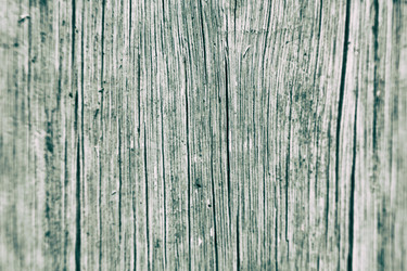 Similar image 19742497