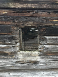 Similar image 19774711