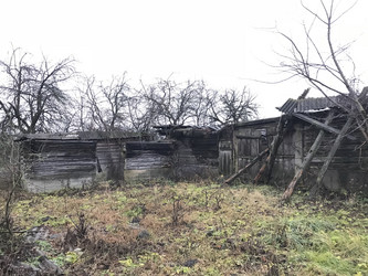 Similar image 19774725