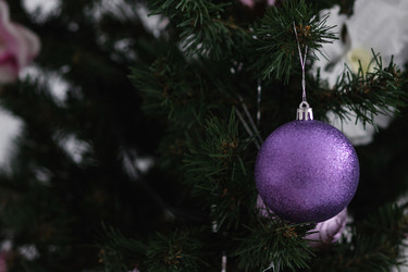 Similar image 19742375