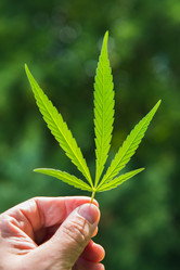 Similar image 19742250