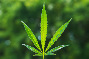 Similar image 19742269