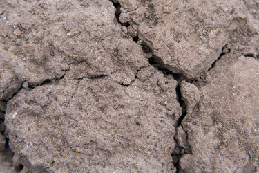 Similar image 19742272