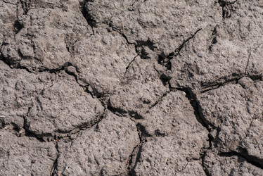 Similar image 19742294