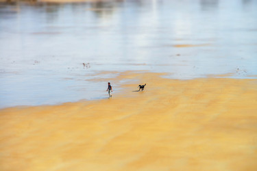 Similar image 19560199