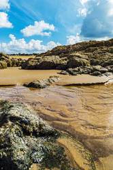 Similar image 19560222