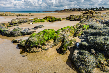 Similar image 19560223