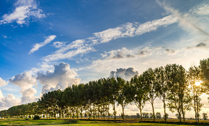 Similar image 19560229