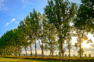 Similar image 19560241