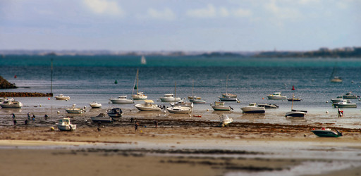 Similar image 19560237