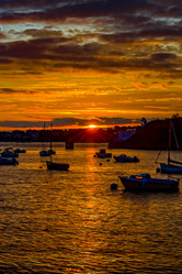 Similar image 19560255