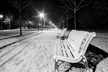 Similar image 19560281