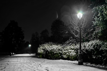 Similar image 19560269