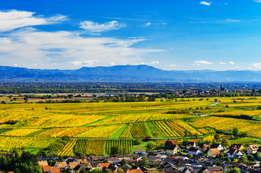 Similar image 19560271