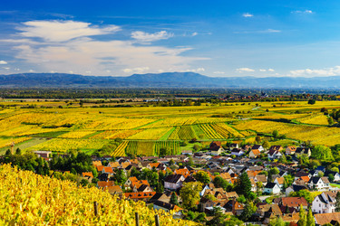 Similar image 19560272