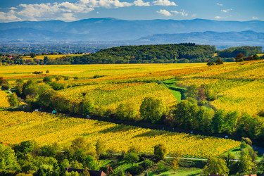 Similar image 19560290