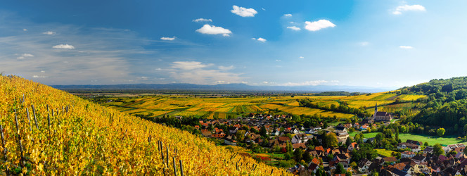 Similar image 19560294