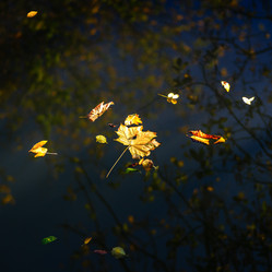 Similar image 19560298