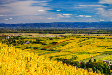 Similar image 19560304