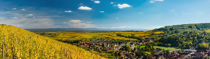 Similar image 19560321