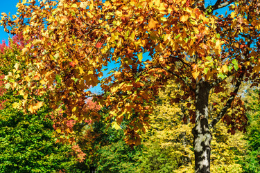 Similar image 19560325