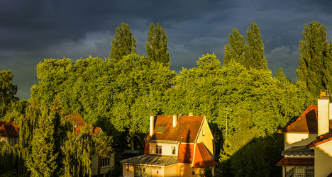 Similar image 19560335