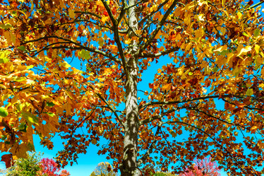 Similar image 19560337