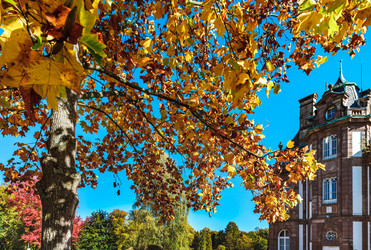 Similar image 19560348